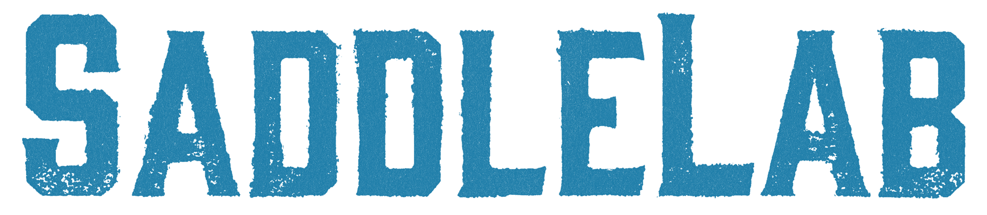 SaddleLab Logo